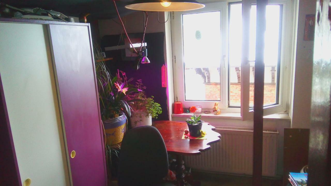 Citycentre Room For 1 Female Persons - Alternative Plus 1 Child Fráncfort del Meno Exterior foto